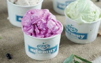 Manfaat Yoghurt bagi Kesehatan Pencernaan Anda